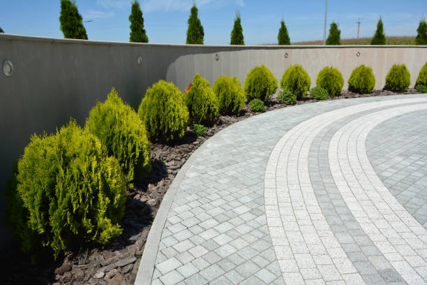 Professional Driveway Pavers in Alva, FL